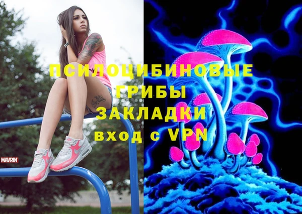 не бодяженный Абаза
