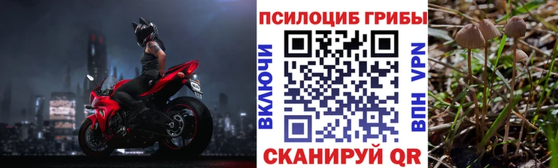 даркнет сайт  shop состав  Псилоцибиновые грибы Cubensis  Юхнов 